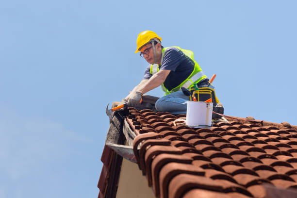 Best Roof Ventilation Installation  in Hamlet, NC